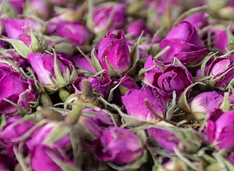 تصویر 2 از قیمت غنچه گل محمدی کاشان + خرید باور نکردنی